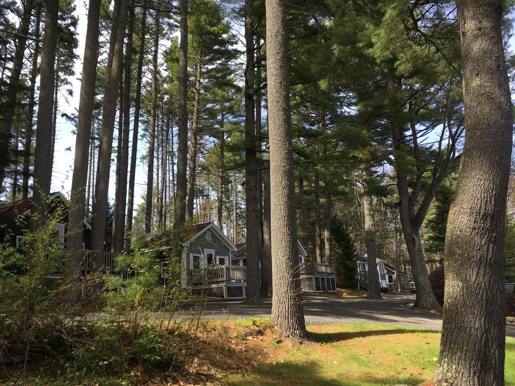 Pine Grove Cottages Lincolnville Exterior foto